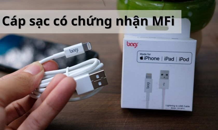 Kiểm tra tính năng MFi (Made for iPhone)